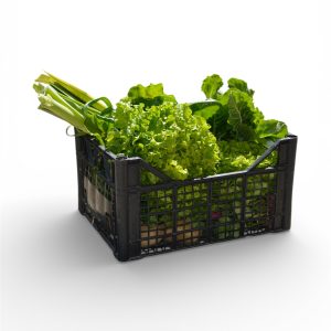 cassetta mista 3,5 kg