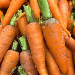 Vibrant bunch of freshly harvested organic carrots with green tops, ideal for healthy cooking.
