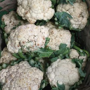 A close-up view of fresh cauliflowers in a wicker basket, showcasing their texture and freshness.