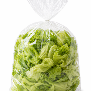 lattuga lavata 0,5kg