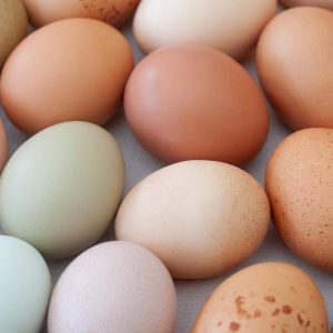A collection of natural, farm-fresh eggs showcasing diverse colors and patterns.