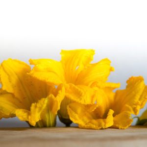 flowers pumpkin, flower background, the flowers of the marrow of the bones, yellow, beautiful flowers, summer, zucchini, flowers, vegetables, pumpkins, ornament, flower wallpaper, autumn, nature, orange, fruit, agriculture, colored, cultivation, color