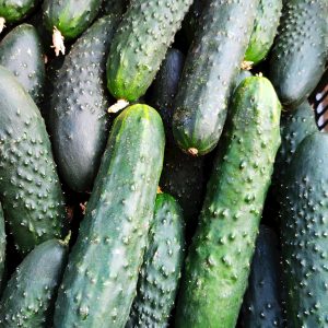 Close-up of fresh green cucumbers in a pile, showcasing their texture and vibrant color.