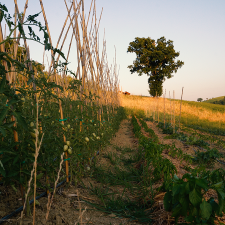 sequenza 02.00 01 48 23.immagine005