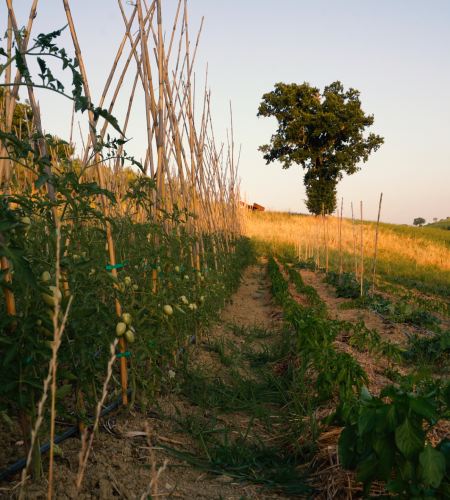 sequenza 02.00 01 48 23.immagine005