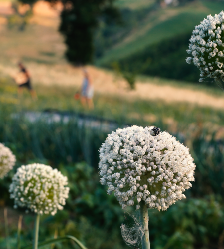 sequenza 02.00 04 23 19.immagine007