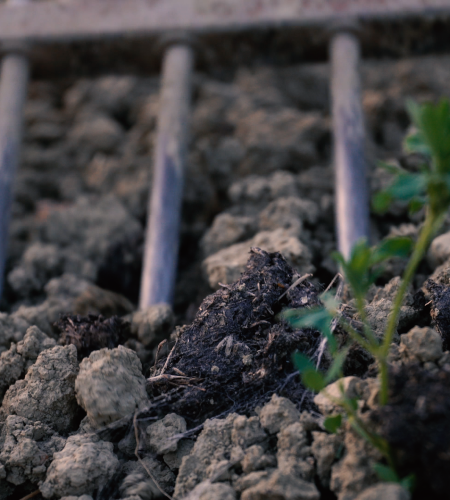 sequenza 02.00 09 57 06.immagine014