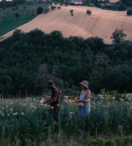 sequenza 02.00 12 53 11.immagine018